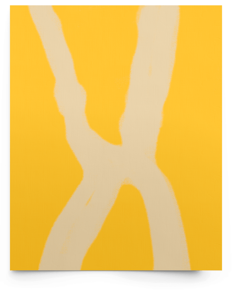 hideslider